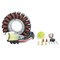 Rmstator Kit High Output Stator 300 W + Crankcase Cover Gasket for Yamaha YFM 660 R Raptor 2001-2005 RM01013G - alternate 4